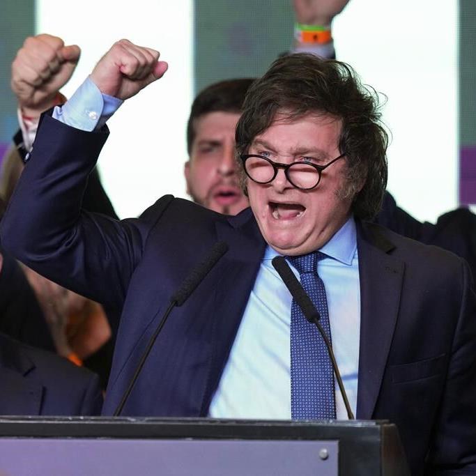 The lion, the wig and the warrior. Who is Javier Milei, Argentina's president-elect?